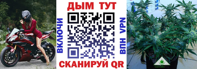 Как найти закладки Южа ГАШИШ  ссылка на мегу рабочий сайт  A-PVP  МЕФ  Кокаин  Канабис 