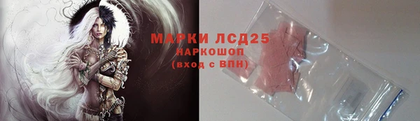 СК Медногорск