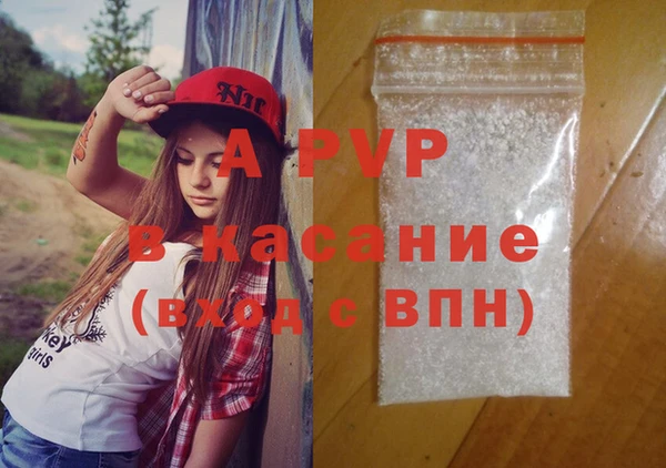 альфа пвп Медвежьегорск