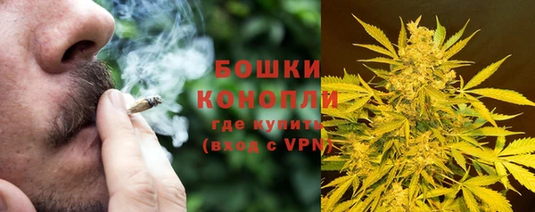 альфа пвп Медвежьегорск